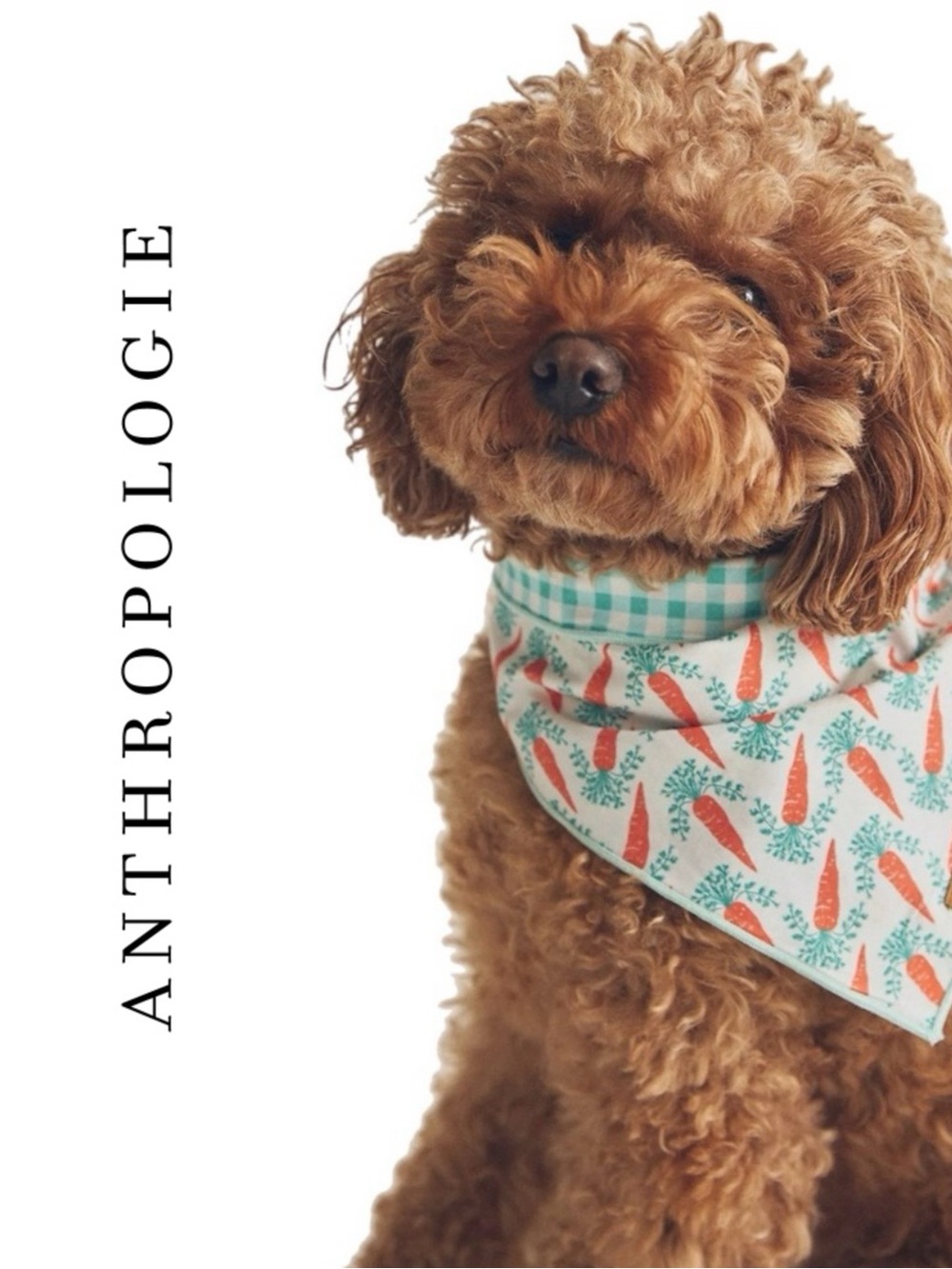 Anthropologie Foggy Dog Pet Bandana